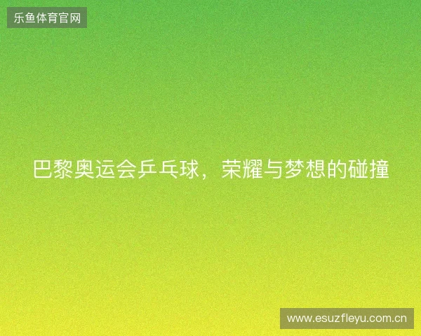 巴黎奥运会乒乓球，荣耀与梦想的碰撞